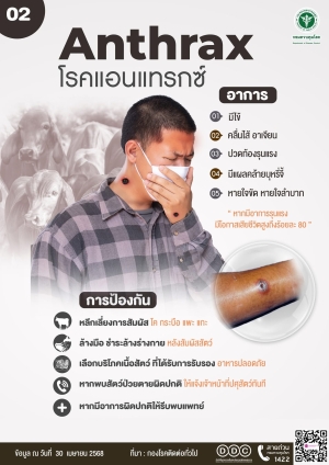 โรคแอนแทรกซ์ (Anthrax)